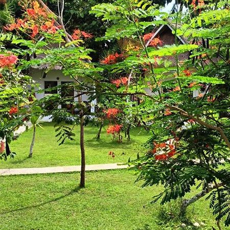 Namaste Bungalows Sakti Ngoại thất bức ảnh